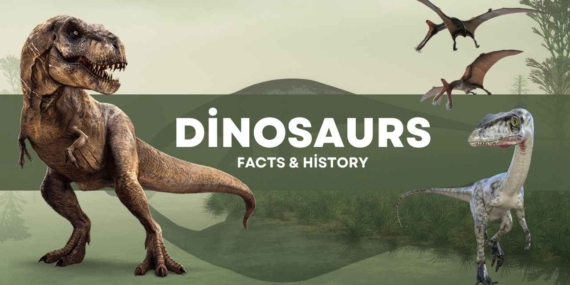 Academy Awards (Oscars): A Comprehensive Overview of History and Facts