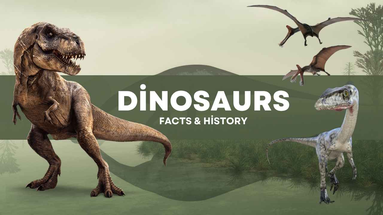 Academy Awards (Oscars) A Comprehensive Overview of History and Facts