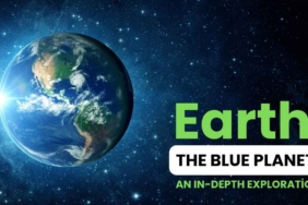 How Climate Change Will Shape Our Future An In-Depth Analysis