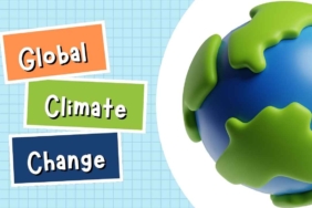 Human Rights Definition and Global Challenges