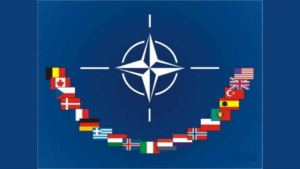 NATO Purpose, History, and Member Countries Explained
