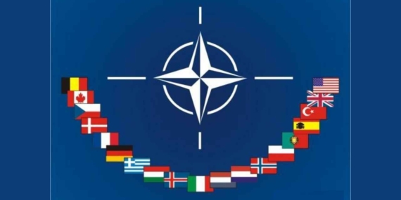 NATO: Purpose, History, and Member Countries Explained