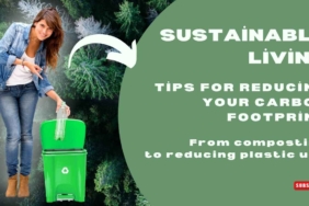 Sustainable Living Simple Changes That Matter