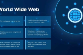 The Evolution of the Internet