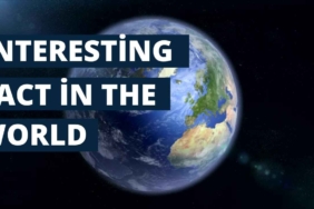 World Bank Explained Roles and Impact