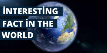 World Bank Explained Roles and Impact