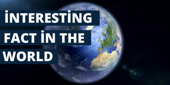 World Bank Explained: Roles and Impact