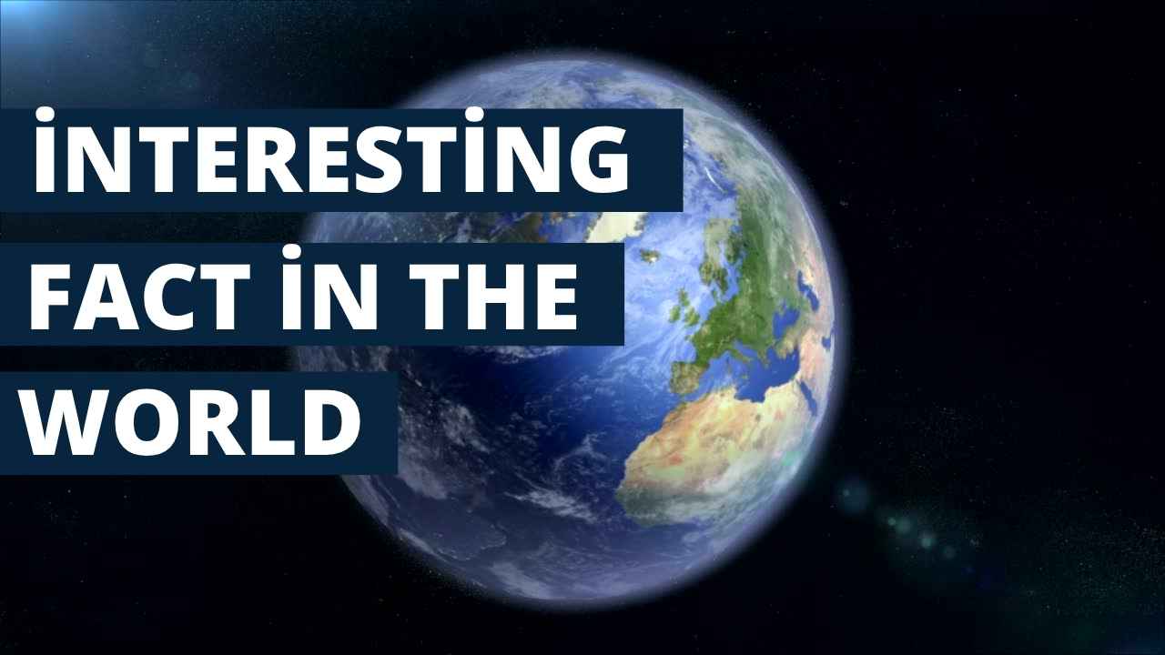 World Bank Explained Roles and Impact